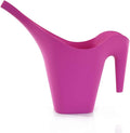 Mintra 1/2 Gallon Plant Watering Can, Indoor Outdoor Water Can for Plants, Long Spout Plastic Water Pitcher for Watering Flower Succulent, Durable and Lightweight, 2L/68 oz, 1 Pack, Fuchsia