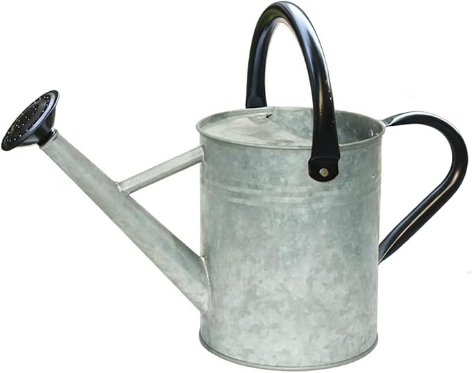 Metal Watering Can 1 Gallon with Removable Spout, Ideal Plant Watering Can for Indoor and Outdoor Plants (One Gallon Silver Black)