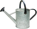 Metal Watering Can 1 Gallon with Removable Spout, Ideal Plant Watering Can for Indoor and Outdoor Plants (One Gallon Silver Black)