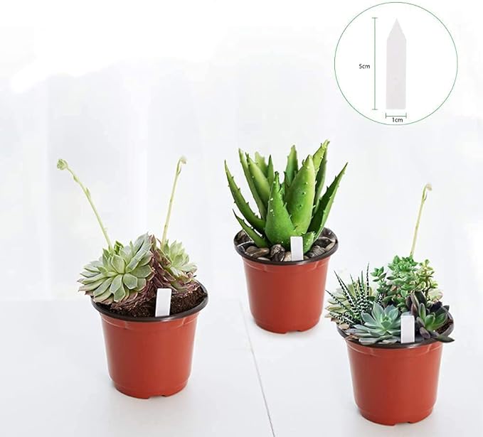 JERIA 100-Pack 4 Inch Plastic Plant Nursery Pots Come with 100 Pcs Plant Labels, Seedling Flower Plant Container and Seed Starting Pots