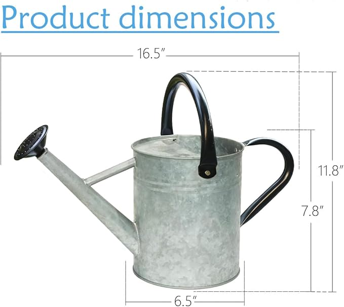 Metal Watering Can 1 Gallon with Removable Spout, Ideal Plant Watering Can for Indoor and Outdoor Plants (One Gallon Silver Black)