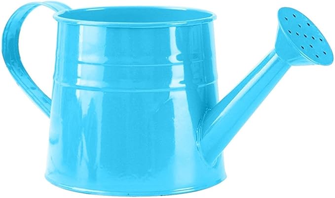 Watering Can, 1L Metal Flower Garden Watering Can, Lightweight Durable Decorative Gardening Tool for Outdoor Indoor Plants Lawn Garden (Blue)