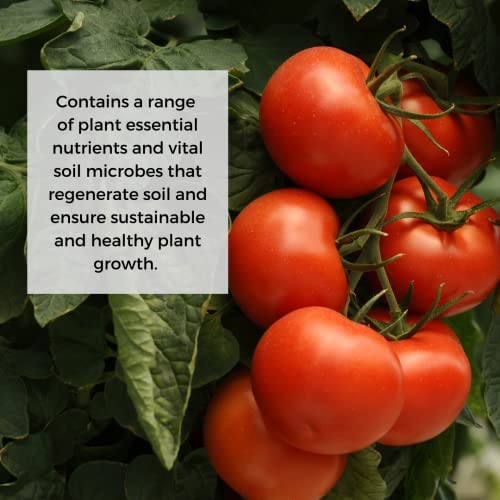 Ecoworm Soil Extract Concentrate for Tomatoes & Peppers – Organic Soil Regenerator & Microbe-Rich Fertilizer from Worm Castings | Root & Fruit Boosting Plant Feed (35 fl oz Makes 53 Gallons)