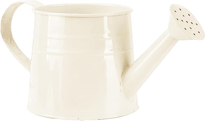 Tinplate Watering Kettle, 1L Metal Garden Watering Can, Vintage Sprinkling Can for Flowers, Indoor & Outdoor Plants, Lawn & Garden Irrigation Tool (White)