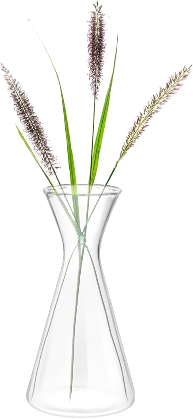 Haoideo Avocado Seed Sprout Starter Vase Planter Pot Glass Avocado Tree Plant Growing Vase Kit Indoor Home Decor Hydroponic Tabletop flower Pot for Plant Lover
