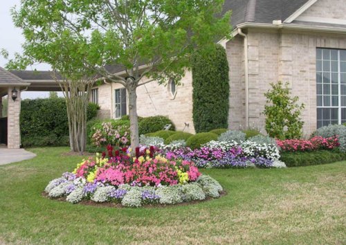 Nelson - Trees, Shrubs, & Evergreens Plant Food for In-Ground, Containers, & Patios, Granular Fertilizer, NutriStar 21-6-8 (15 lb.)