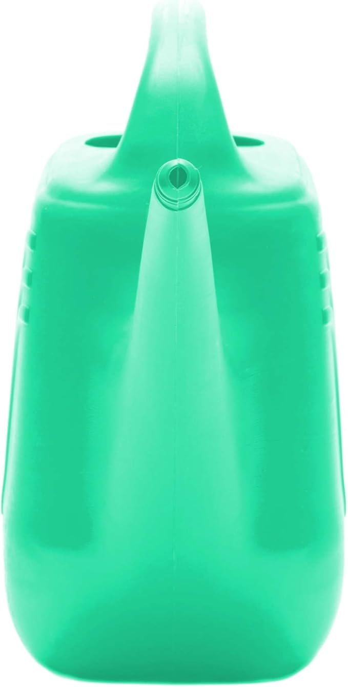 Bloem Classic 2 Gallon (256 Fl Oz) Mint Green Resin Watering Can for Indoor and Outdoor Use