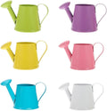 Kisangel Mini Watering can for Indoor Plants 3.34 Inch Handheld Tiny Watering Pots Decorative Water can for House Plant Watering and Miniature Garden Photo Props