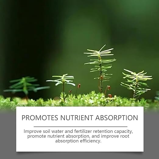 Soil Activator Black Water, Soil Pro Activator for Plants, Concentrated Soil Revitalizer for Lawn, Garden, Vegetables & Indoor Outdoor Plants (2 PC)