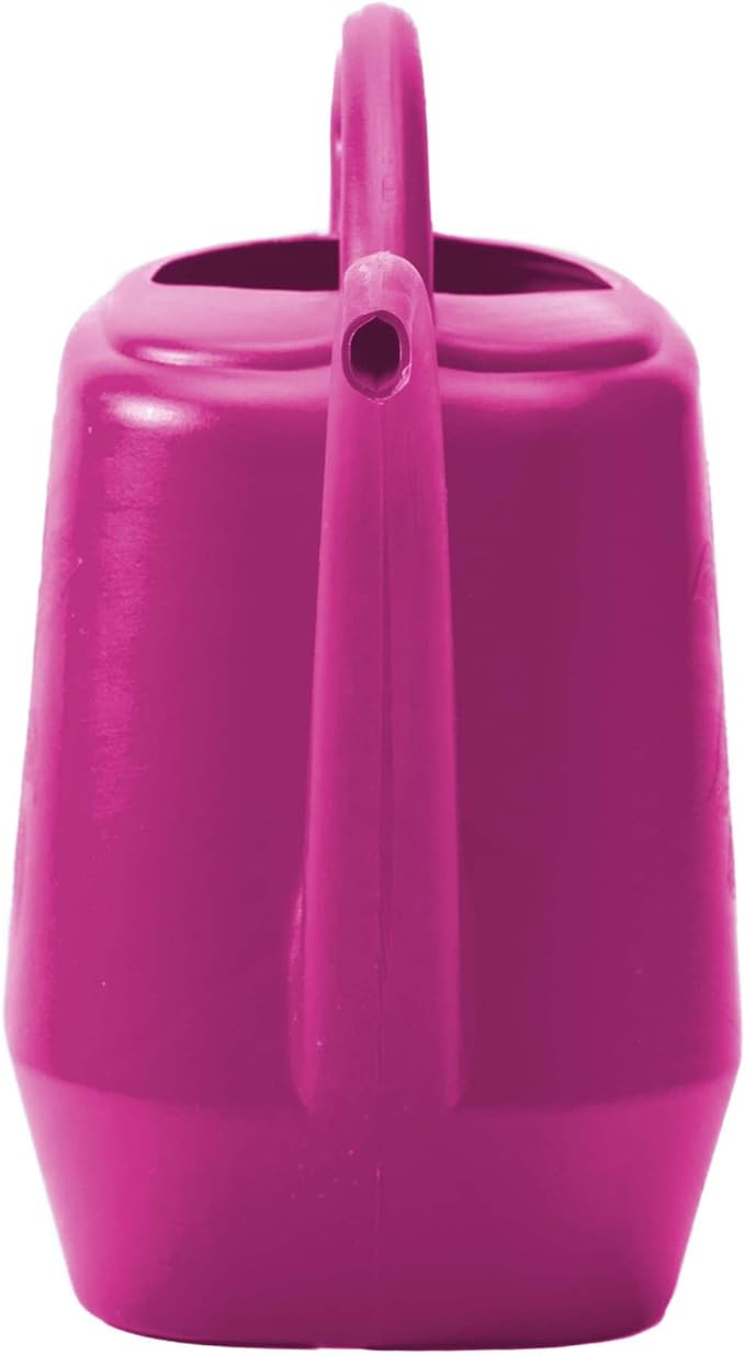 Bloem Aqua Rite 1.1 Gallon (144 Fl Oz) Fuschia Resin Watering Can for Indoor and Outdoor Use