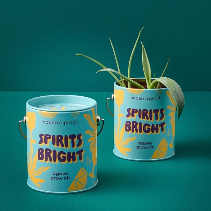 Modern Sprout Complimentary Seed Starter Grow Kits - Spruce, Eucalyptus, & Agave Seeds - Plant & Gardening Gifts That Grows with Love (Pack of 3)