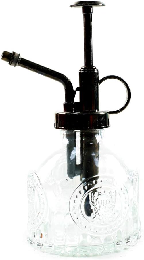 Hniuyun Glass Plant Mister Spray Bottle, 6.4 All Vintage Plant Spritzer Watering Can, Bronze Plastic Top Pump, Plant Mister Glass Watering Garden Tool (Clear)