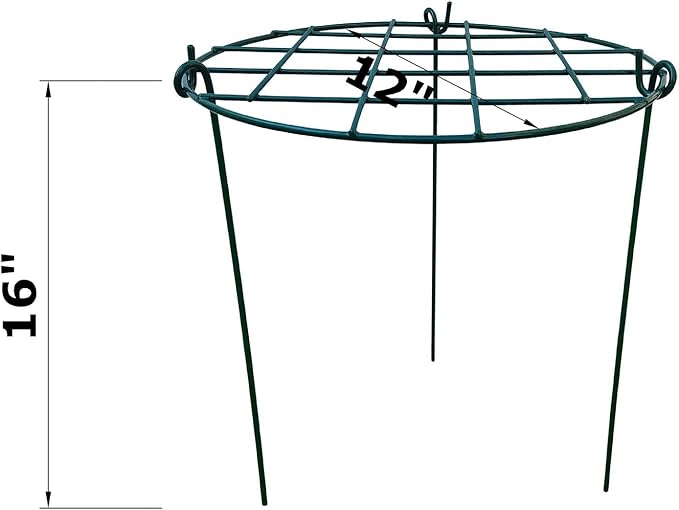 5 Pack 12 x 16 inch Poeny Cage Grow Through Grid Plant Brace Flower Support Rings,Round Metal Plant Stakes Rings, Strong Large Garden Supports for Flowers, Peonies, Rose, Lily