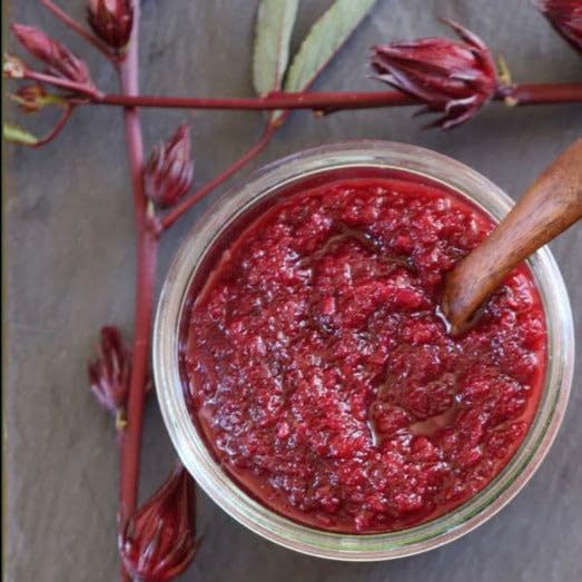 TomorrowSeeds - Red Hibiscus Roselle Seeds - 50+ Count - for 2026 Planting Hibiscus Sabdariffa Burmese Chin Baung Jamaican Sour Leaf Sorrel Jamaica Rosella Rau Chua Herbs Vegetable Grow Your Own Home