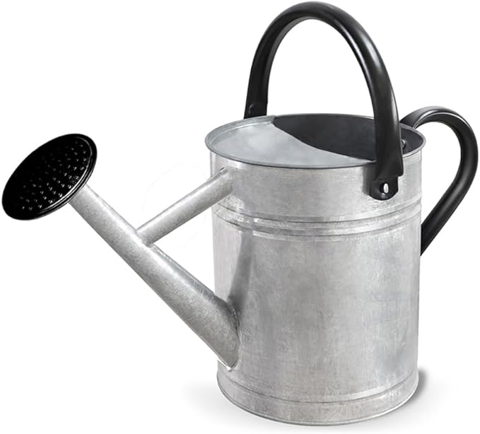 Metal Watering Can with Removable Spout, Galvanized Steel Plants Water Can for Women, Men and Kids' Outdoor or Indoor Gardening - Nice Flower Watering Pot Gift & Decoration (Zinc, 0.6 Gallon)