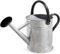 Metal Watering Can with Removable Spout, Galvanized Steel Plants Water Can for Women, Men and Kids' Outdoor or Indoor Gardening - Nice Flower Watering Pot Gift & Decoration (Zinc, 0.6 Gallon)