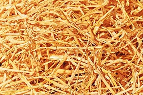 Premium 100% Natural Straw for Animal Bedding, Garden Mulch, Compost & Fertilizer, and Grass Cover (1 lb)