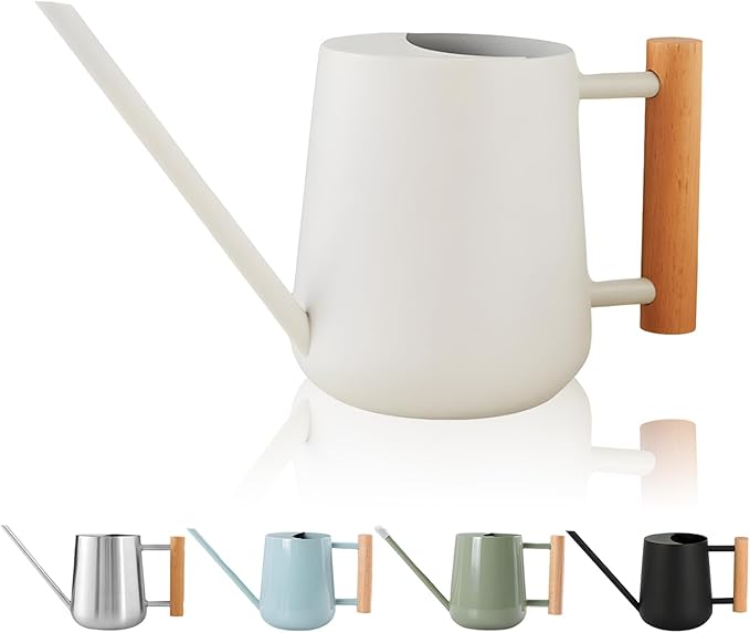 Watering Can Indoor Plants, 30oz/900ml Small Plant Watering Can with Long Spout, Stainless Steel Garden Watering Cans Outdoor Watering Pot for Indoor House Plants Bonsai Flower Decorative