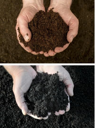 Red Wigglers Live Worms 250+ (1/4LB) Worms for Composting Bin - Live Delivery - Gardening Red Wrigglers - Eisenia Fetida - Wiggly Worm Farm Starter - Worm Castings - Pet Food