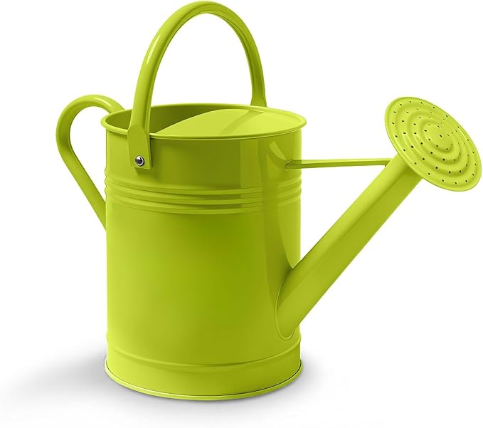 6.5L Metal Watering Can for Outdoor & Indoor Plants, Galvanized Steel Metal Water Can with Removable Spout, Movable Top Handle, Rust-Resistant Watering Pot for Garden, Lawn, Flowers
