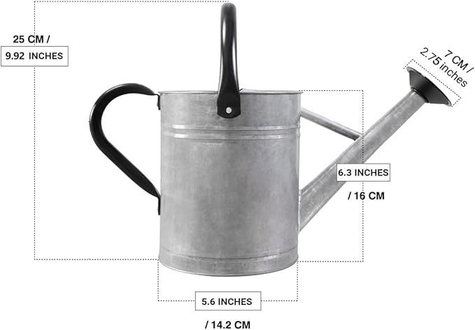 Metal Watering Can with Removable Spout, Galvanized Steel Plants Water Can for Women, Men and Kids' Outdoor or Indoor Gardening - Nice Flower Watering Pot Gift & Decoration (Zinc, 0.6 Gallon)