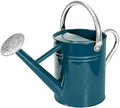 Metal Watering Can with Removable Spout, Galvanized Steel Plants Water Can for Women, Men and Kids' Outdoor or Indoor Gardening - Nice Flower Watering Pot Gift & Decoration (Ocean Blue, 0.6 Gallon)