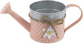 Boston International Indoor Outdoor Metal Garden Watering Can Planter, 10 x 4.5-Inches, Coral