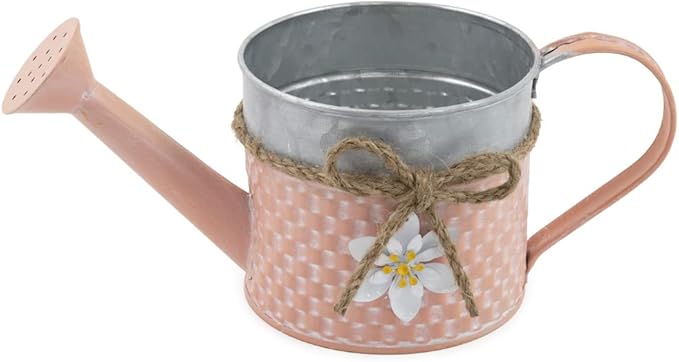Boston International Indoor Outdoor Metal Garden Watering Can Planter, 10 x 4.5-Inches, Coral