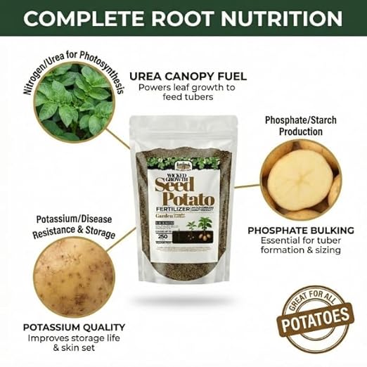 Old Cobblers Farm™ Wicked Growth Seed Potato Fertilizer-Strengthens Roots, Boosts Yields, and Supports Healthy Potato Growth with Eco-Friendly, Slow-Release Nutrients. (5/10/15/20 lbs) (15lbs)