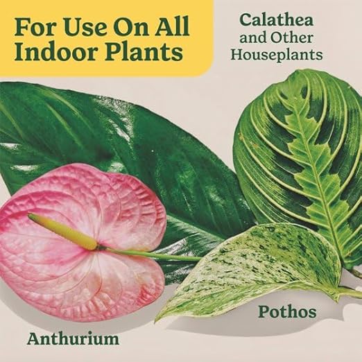 Miracles-Grows Indoor Plant Food for All Plants, Liquid Fertilizer, Instant Nutrition, Houseplants, Flowers, Vegetables, Herbs, 8 fl oz, 1 Pack