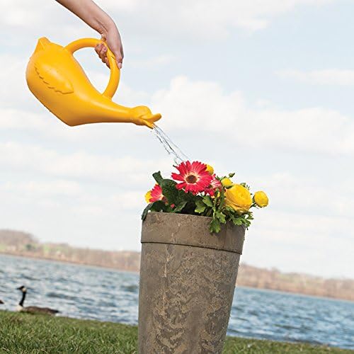 Lucky Duck Watering Can, Yellow, 1-Gallon