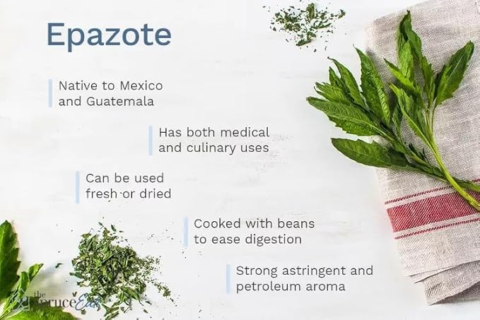 Live Epazote Plant/Mexican Tea. Year's Supply. Family+Friends Pack. Helps Immunity, Digestion, Metabolism. Flavorful, Pungent, Fresh, Edible. Easy Grow. Indoor/Outdoor. (4 Epazote in Sac)