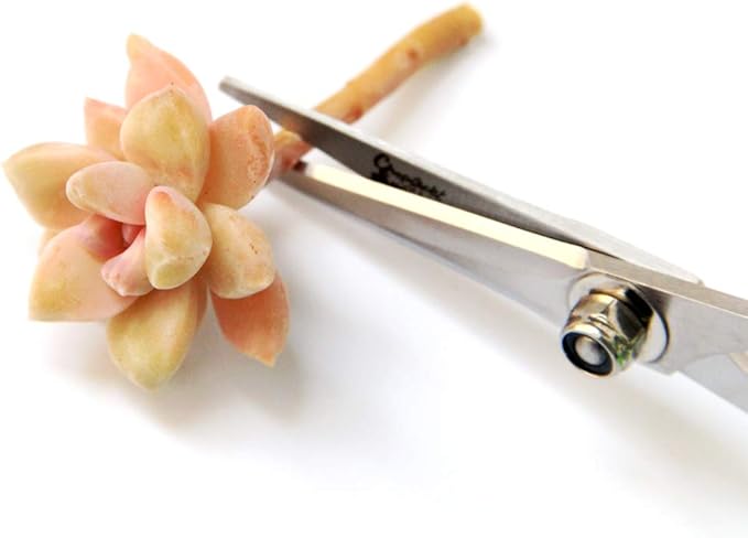Gardening Scissors For Succulents