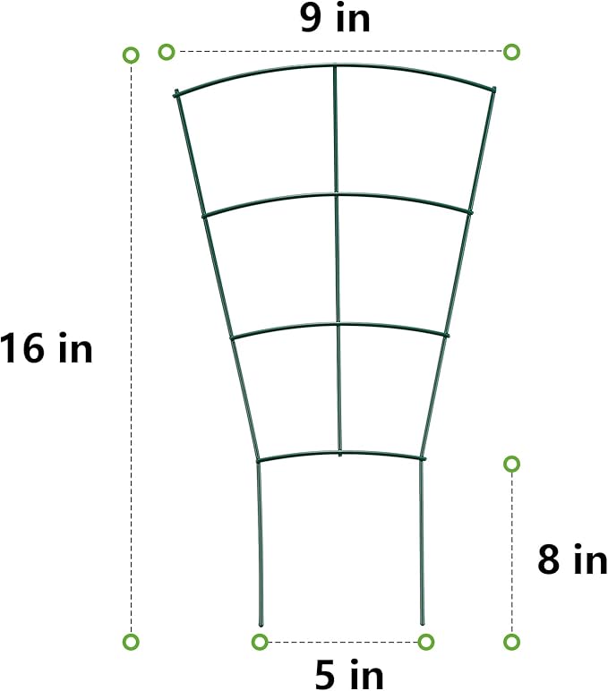 6-Pack Indoor Plant Trellis - 16 Inches, Heavy-Duty Metal for Climbing Houseplants, Flowers, Vines, and Ivy