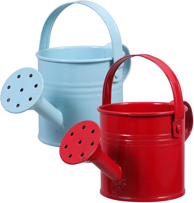 DOITOOL 2 Pack Kids Metal Watering Can for Gardening, Small Iron Watering Can Set for Indoor Outdoor Plants, Mini Toddler Water Pot for Succulents Houseplants Bonsai (Blue, Red)