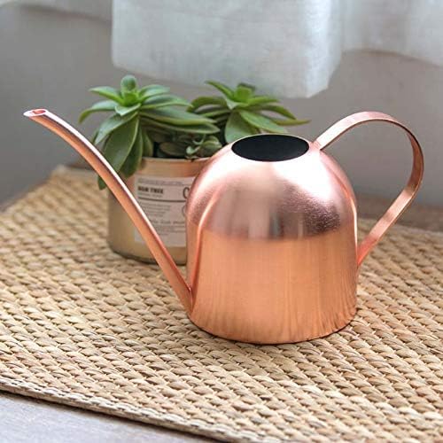Small Watering Can for Indoor Plants, 15oz/450ml Stainless Steel Long Spout Watering Can for Succulents, Herbs (Rose Gold)