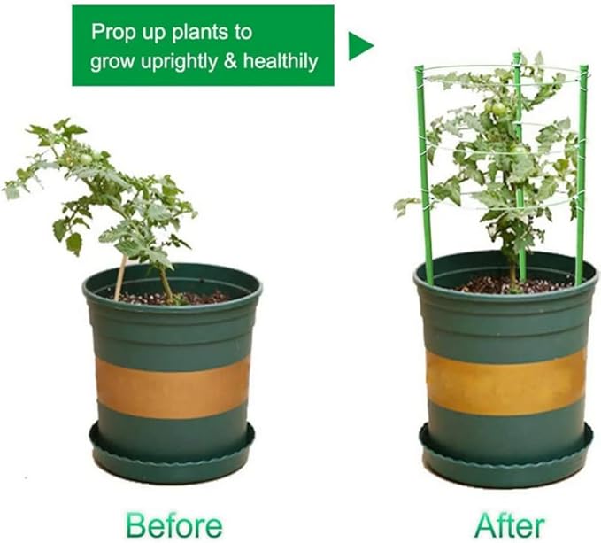 5 Pack Plant Support Tomato Cages for Garden Plants Support 18 inches Small Tomato Cages Tomato Trellis with Adjustable Rings Plant Stakes for Peony Supports Tomato Stakes Rings for Climbing Plants