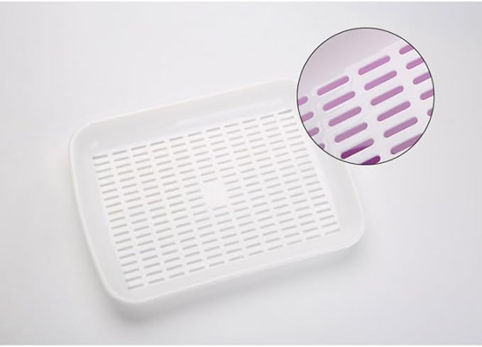 Hemoton Plant Tray 2 Tier Tray 2 Tier Sprouting Kit Soil-Free Wheatgrass Grower Nursery s Germination Bean Sprout Grower Sprouter Veggie Veggie