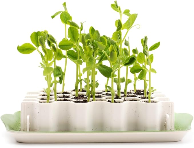 Garden Works SproutJoy Seed Starting Kit