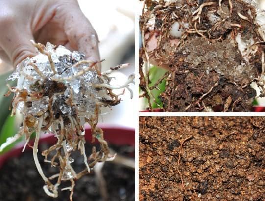 Water Storing Crystals – Commercial Grade Soil Additive & Moisture Retainer – Potassium Polyacrylate Super Absorbent Polymer for Plants, Gardens & Lawns (2)