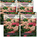 Sow Right Seeds - Pastel Mix Yarrow Seeds for Planting - Vibrant Yarrow Flowers for Attracting Pollinators - Perfect for Floral Gardens & Landscaping - Easy to Grow - Non-GMO Heirloom Herb (4)