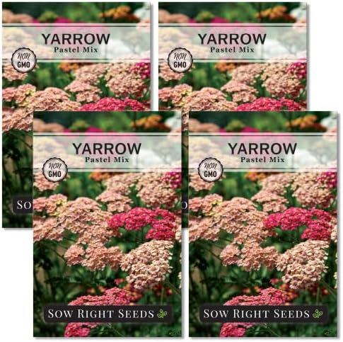 Sow Right Seeds - Pastel Mix Yarrow Seeds for Planting - Vibrant Yarrow Flowers for Attracting Pollinators - Perfect for Floral Gardens & Landscaping - Easy to Grow - Non-GMO Heirloom Herb (4)