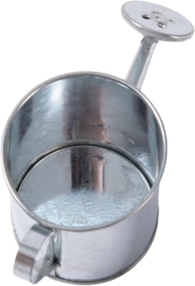 Mini Handmade Decorative Watering Can, Set of 6, Height 2.36 inch, Cute Metal Jug for Hand Crafts,Garden Theme Parties,Home Decor and Accessories of Refrigerator Magnets (Silver, Height 2.36 inch)