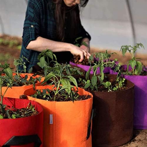 Bootstrap Farmer Grow Bags 7 Gallon, Green 10 Pack, Colored Fabric Pot for Peppers, Potatoes, Tomatoes and Plants