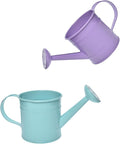 Decorative Mini Tin Watering Can - 0.05Gal Cute Metal Jug for Hand Crafts,Garden-Theme Parties,Plant Pots, Home Decor,Housewarmings, Fun Birthday Gift for Girls and Boys (PP/B, S)