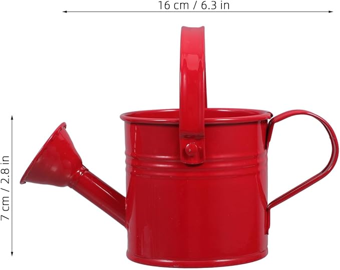 DOITOOL 2 Pack Kids Metal Watering Can for Gardening, Small Iron Watering Can Set for Indoor Outdoor Plants, Mini Toddler Water Pot for Succulents Houseplants Bonsai (Blue, Red)