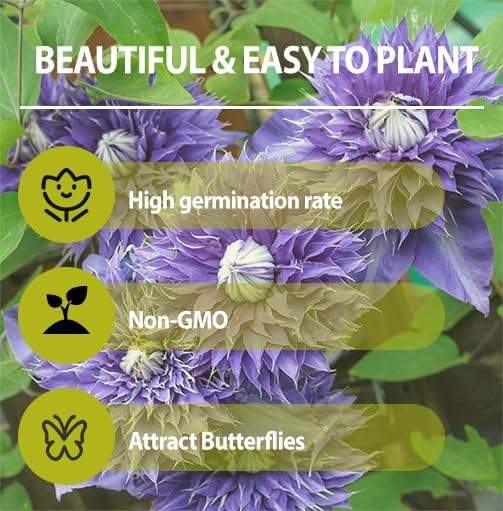 190+ Perennial Mix Clematis Seeds for Planting-Non-GMO Heirloom Plant Seeds Garden Outdoor
