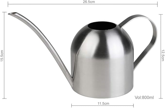 Stainless Steel Water Can for Indoor Plants and Garden (30 oz)