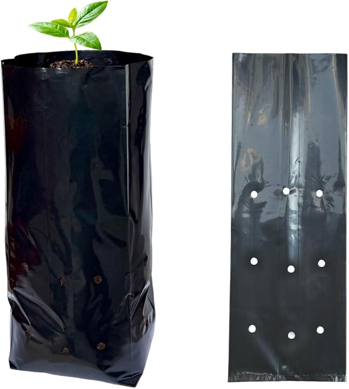 gardtree 50 Pcs Tall Plant Nursery Bags 5.5" x 13", Deep Root Plastic Plant Grow Bags Thicken Tree Seedling Pots for Vegetables, Flower, Fruit, Citrus, Nut Trees, Taproot Saplings
