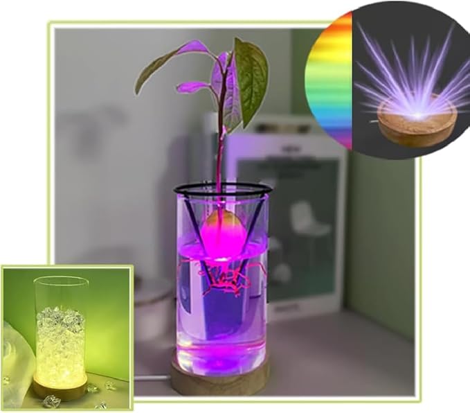 Avocado Vase for Growing - Avocado Seed Starter Vase Rack for Mason Jar of Wide-Mouth 4Pcs, Avocado Seed Holder Triangular Metal Bracket for Family Friends (3 Pcs Vase Set)